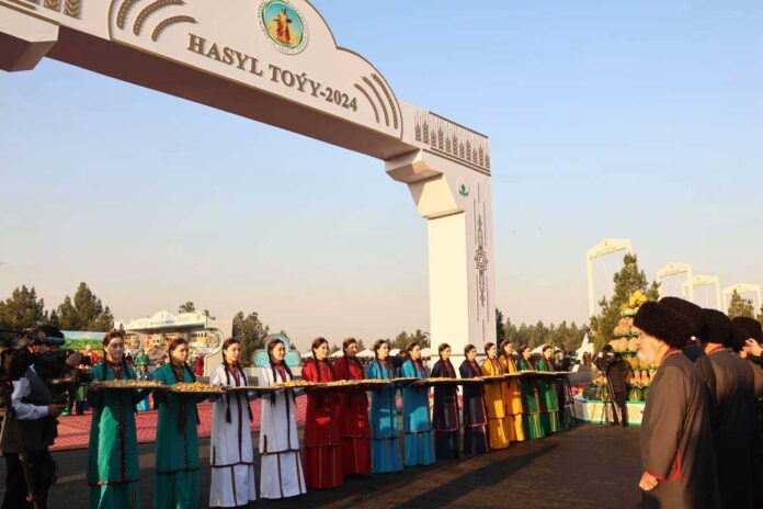 hasyl-toyy-2024-10112024-001