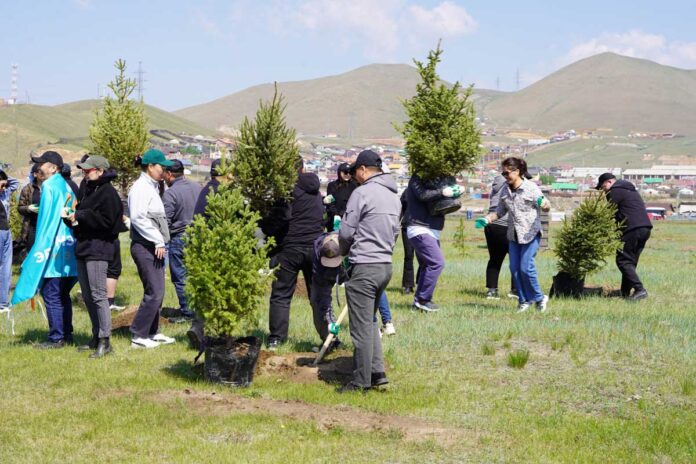 mongolia-tree-planting