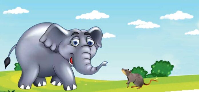 elephant-mouse-pil-we-sychan