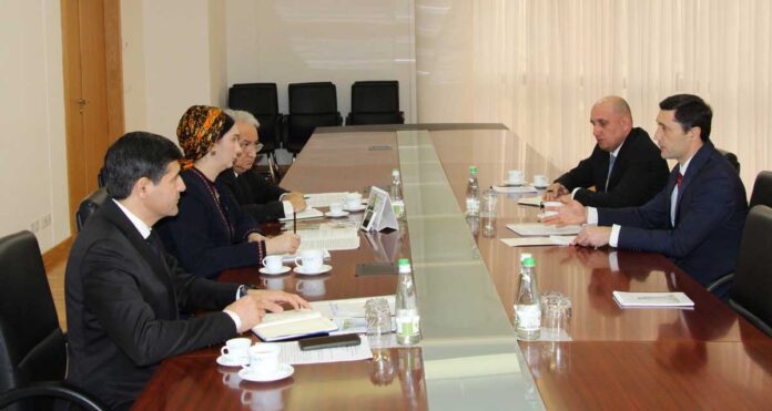 carec-mfa-dim-central-asia
