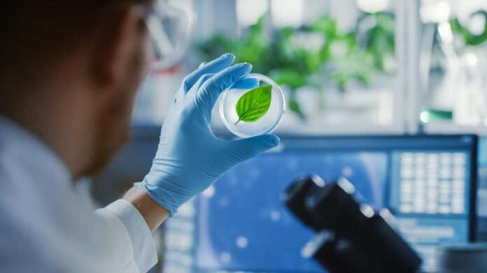 energy-artificial-leaf