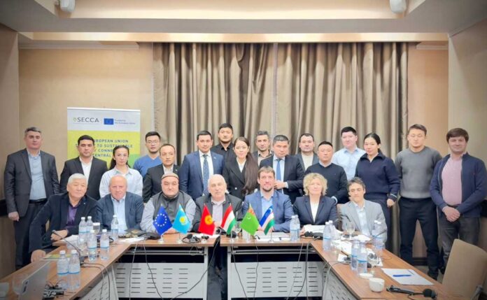 eu-central-asia-training-тренинг