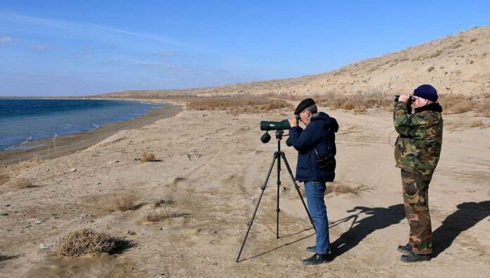 gushlaryn-gozegciligi-bird-watching