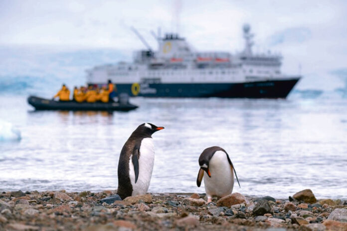 antarctica-Penguin
