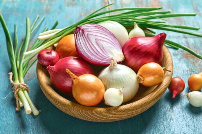 onion-sogan