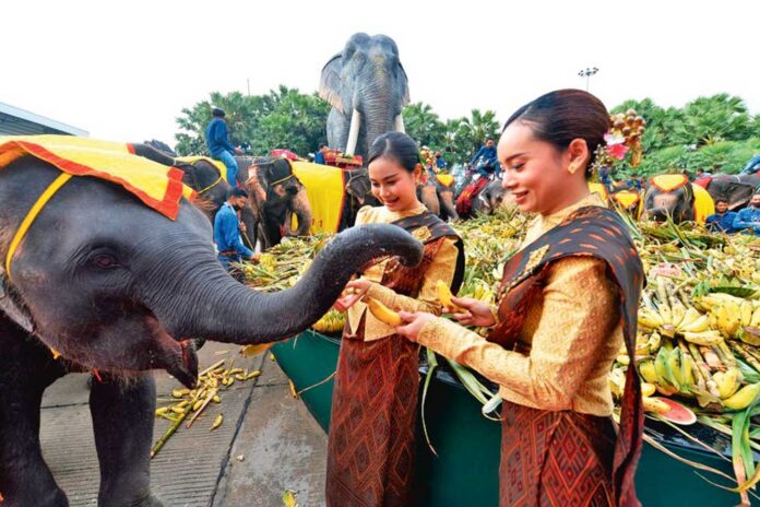 elephants-in-celebrations-in-india