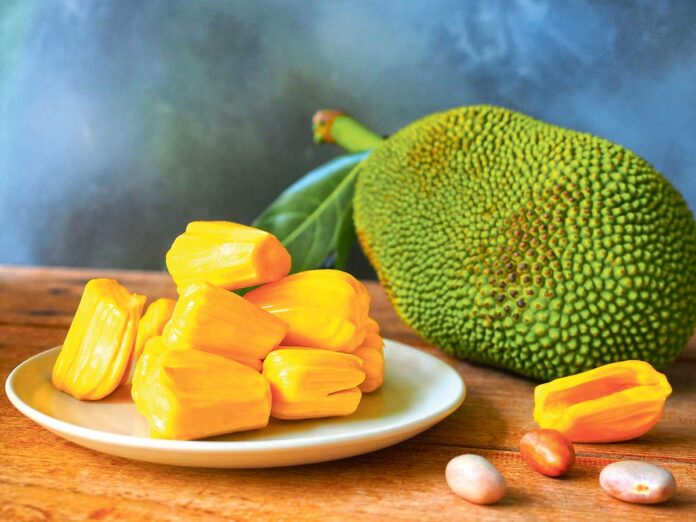 jackfruit-408809