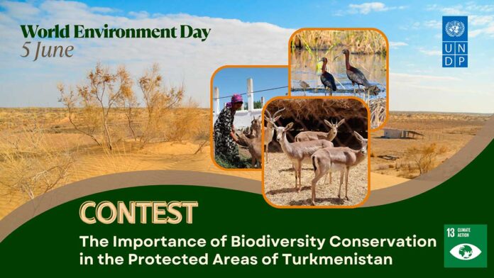 world-environment-day-promotion_banners_website_1