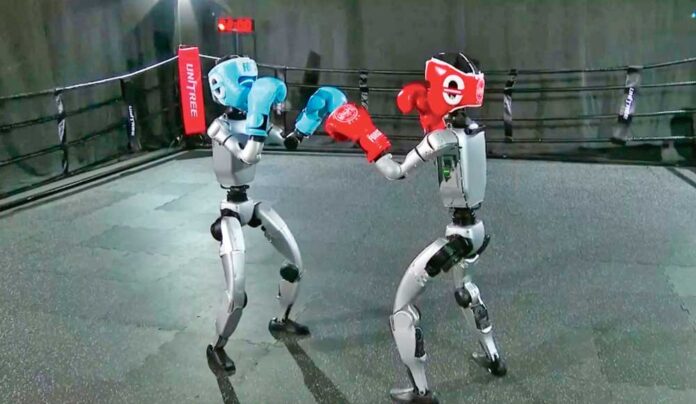 fighting-robots-china