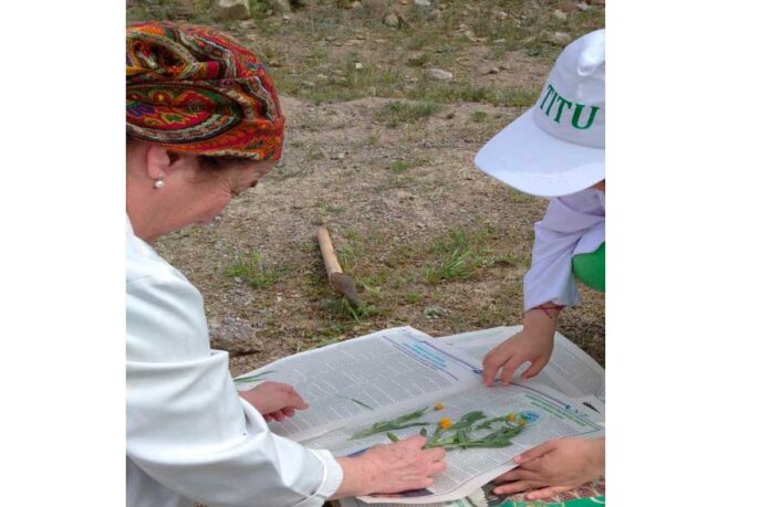 herbarium-gerbariy-гербарий