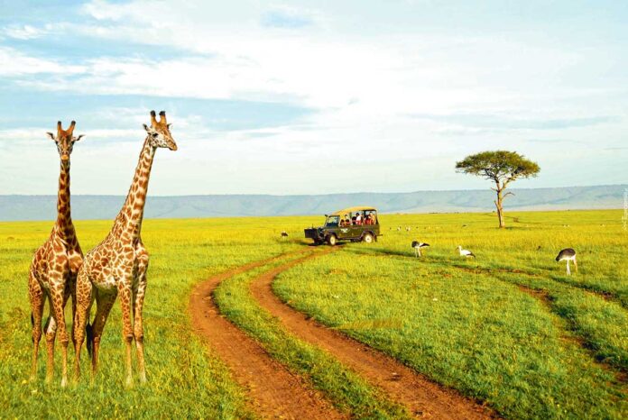 kenya-kenia-africa-giraffe