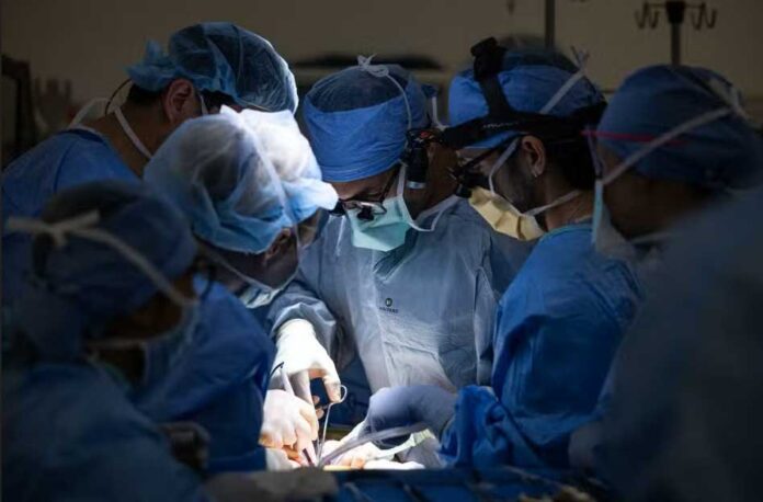 organ-trantplantation-operasiya