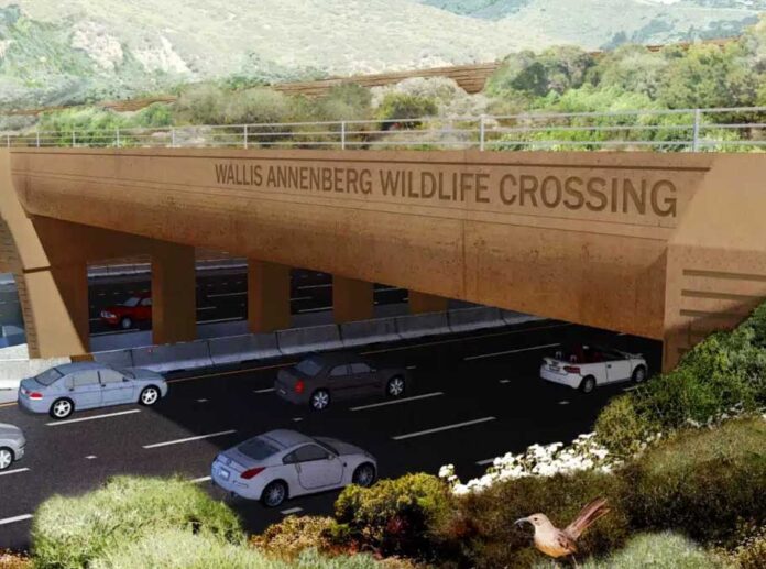 wildlife-ecobridge