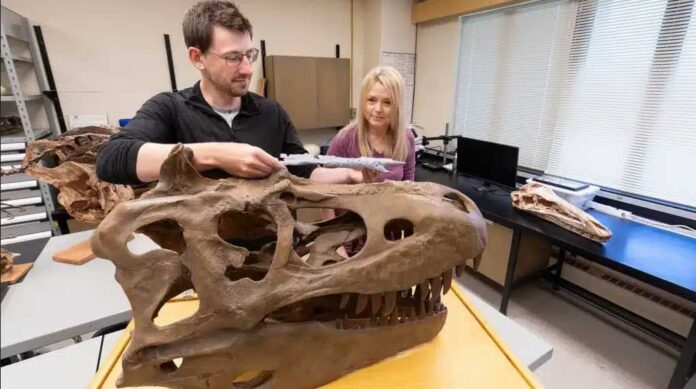 dynosaur-mongolia-canada Khankhuuluu mongoliensis