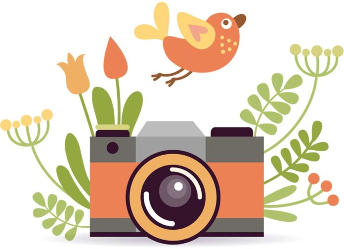 photocamera-camera-fotoapparat