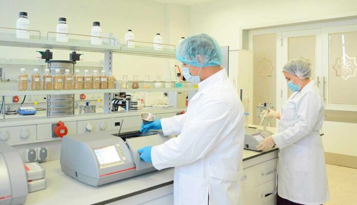 uzum-laboratoria-виноград