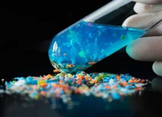 Ynsan beýnisinde mikroplastik bölejikleriň bardygy anyklandy