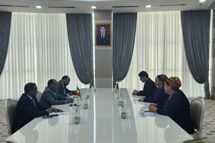 ethiopian transport minister