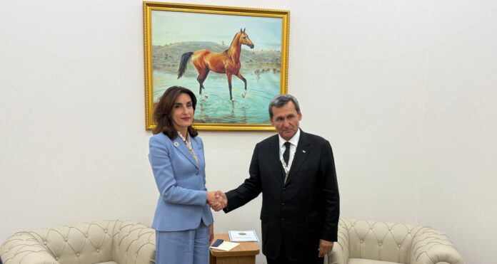 georgia mfa maka bocorishwili r meredov