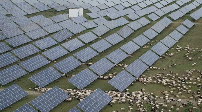solar-agro-china