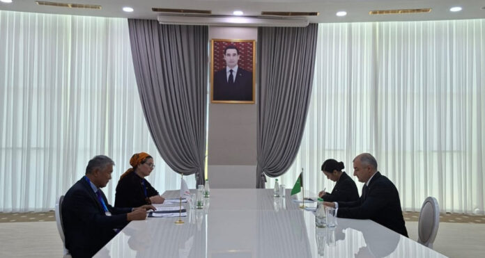 turksoy rayev awaza