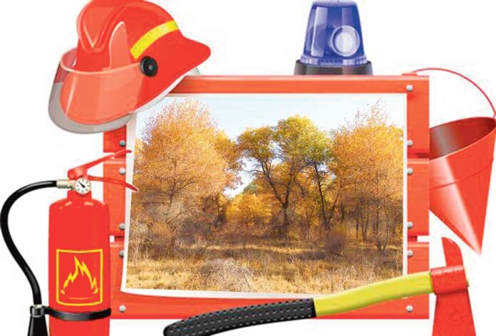yangyn-howpsuzlyk-fireman