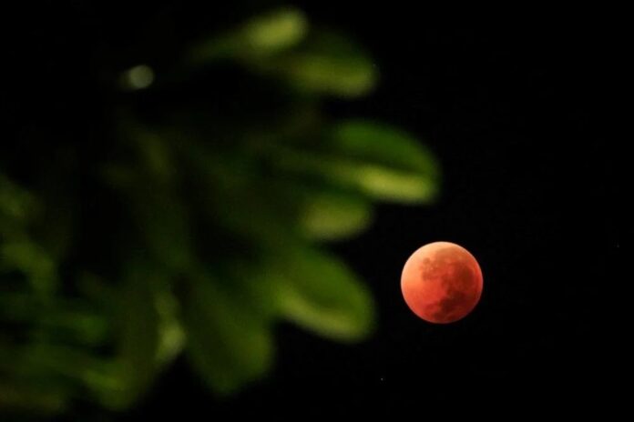 bloody moon 9eU8JZi_pkKm7lb5HzCxxA