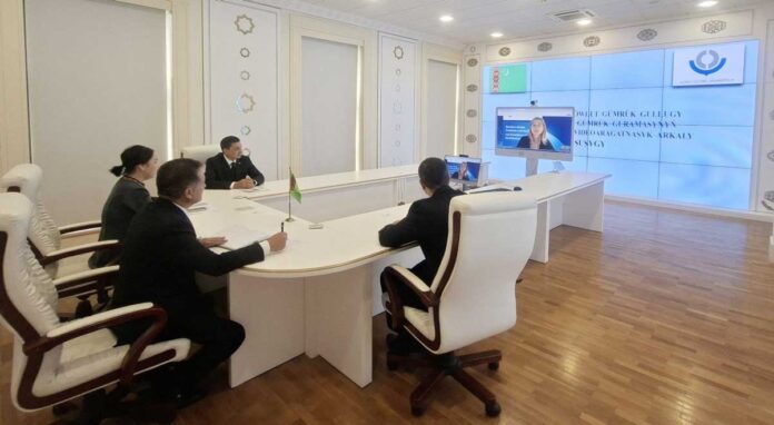 custom-course-okuw-курс-(1)
