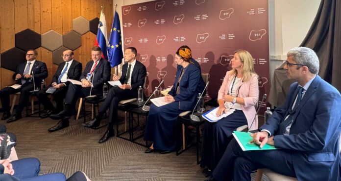mahri-bashimova-slovenia-centrality-of-central-asia