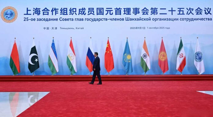 sco-xi-2025-jinpng