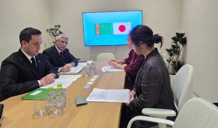 yaponia-japan-япония-(3)