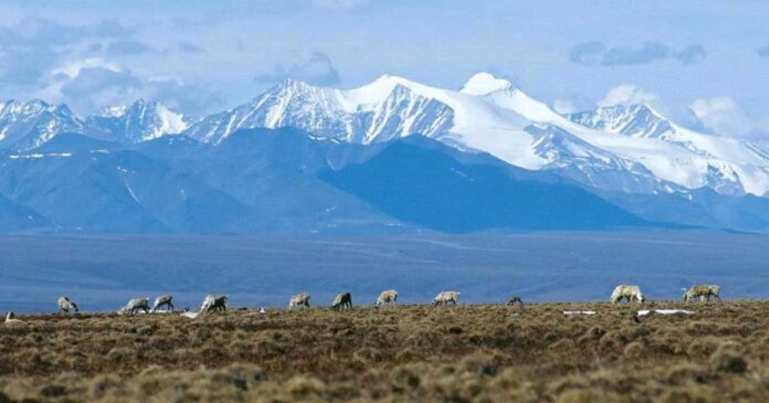 alaska