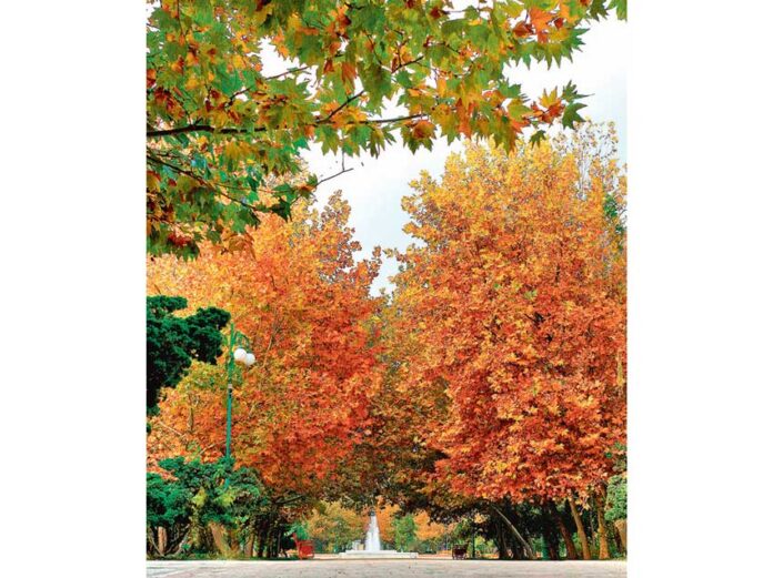 autumn-guyz