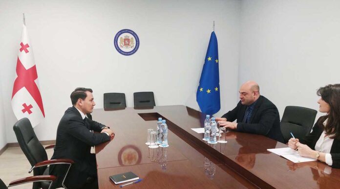 dowlet-seyitmammedow-gruziya-georgia-ambassador-mid-press-reliz1