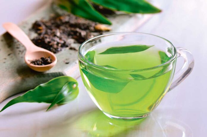 green-tea-gok-cay