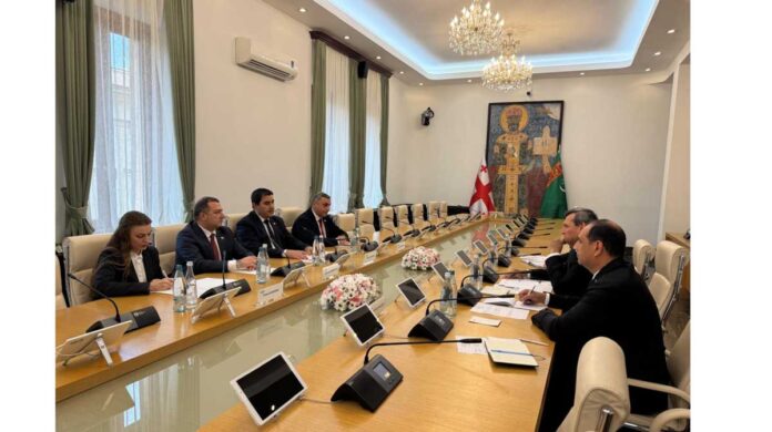 turkmenistan-georgia-meetting