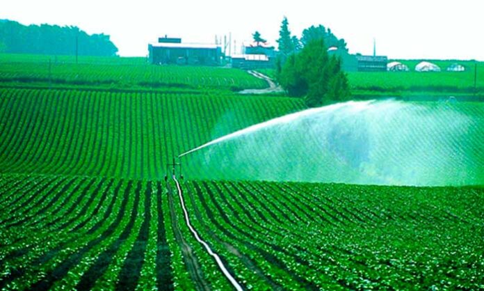 agriculture-water-вода