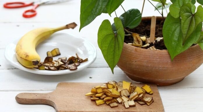 banana lifehack лайфхак