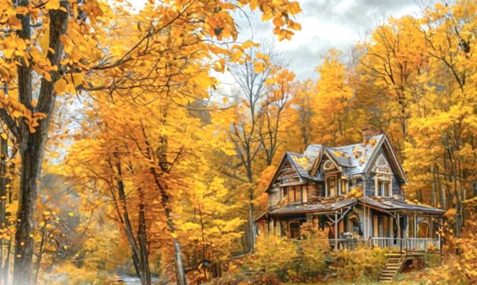 fall autumn guz guyz