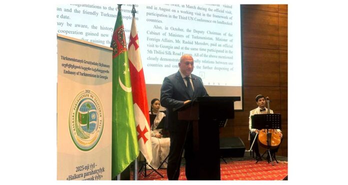 georgia-turkmenistan-ambassador-ilcihana