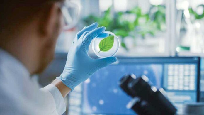 green-energy-artificial-leaf