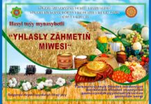 Hasyl toýy mynasybetli sergi