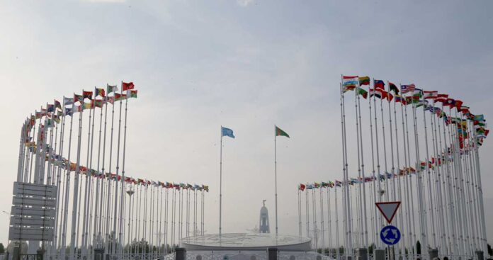 bitaraplyk-bina-5X2A1891