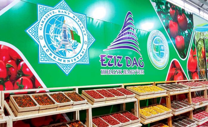 eziz-dag-hojalyk-jemgyyeti-pomidor-telekci