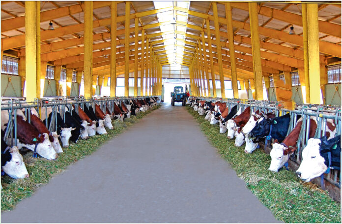 ferma-maldarçylykfarm