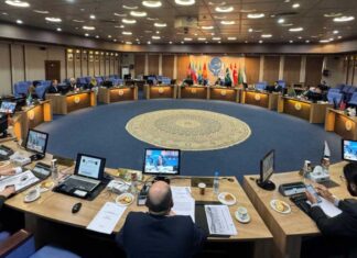 Важные шаги по реализации Авазинской программы действий в регионе ОЭС