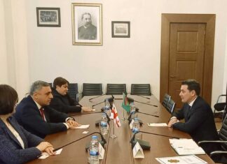 Встреча в Парламенте Грузии: приоритеты межпарламентского взаимодействия