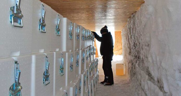 ice-memory-stockage-glacier