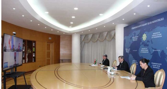 turkmen-austria-mfa-online-meetting