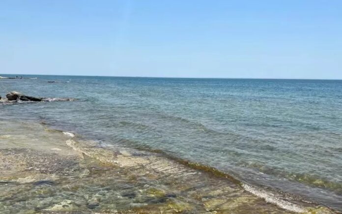 caspaian sea hazan denzi